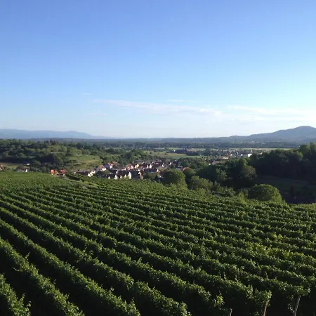 Alexandra - Handwerker Willkommen, Parkplatz, Kueche, Wlan 公寓 玛特丁恩