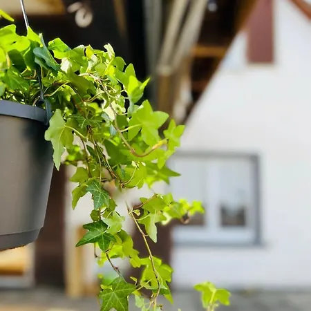 Alexandra - Handwerker Willkommen, Parkplatz, Kueche, Wlan 玛特丁恩